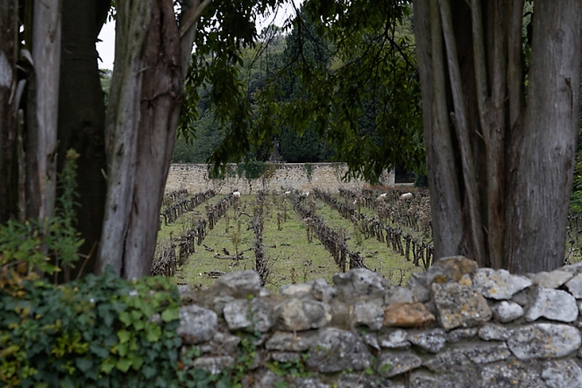 La Roque sur Cèze-010